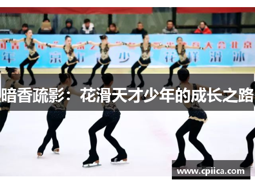 暗香疏影：花滑天才少年的成长之路